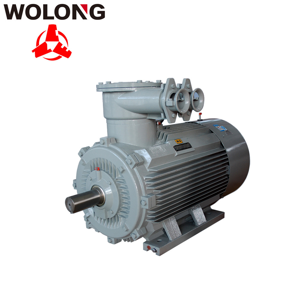 南陽防爆電機(jī) 2極 4極 6極YB3-H系列船用隔爆型三相異步電動機(jī)